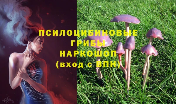 гашиш Гусь-Хрустальный