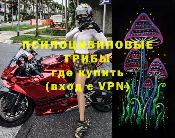 прущие крисы Гусиноозёрск