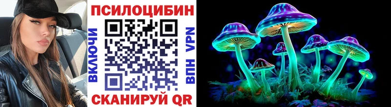 Купить где  Гай  Псилоцибиновые грибы прущие грибы 